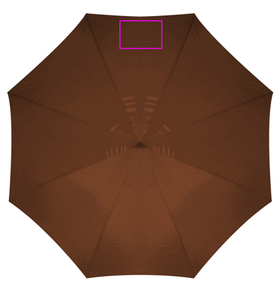 Automatic umbrella with wooden handle NANCY: Dashboard