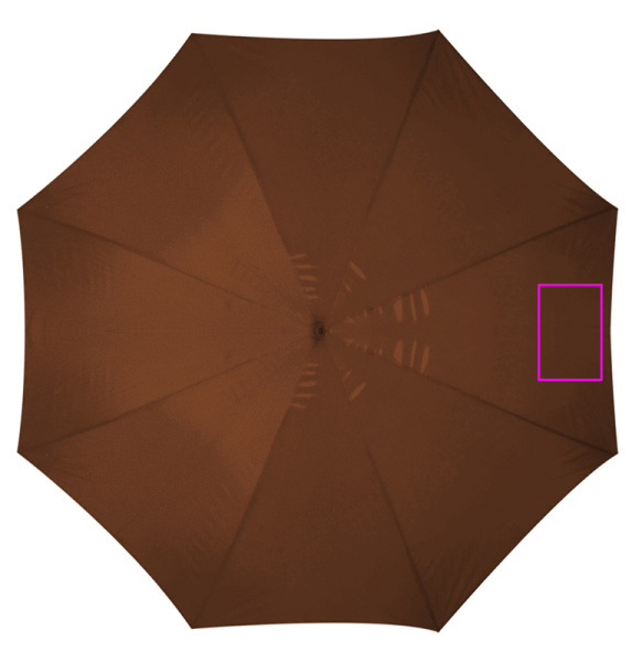 Automatic umbrella with wooden handle NANCY: Dashboard