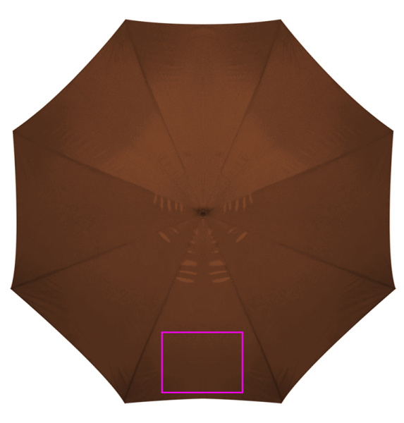 Automatic umbrella with wooden handle NANCY: Dashboard